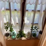 Apartament Fodor Haz *